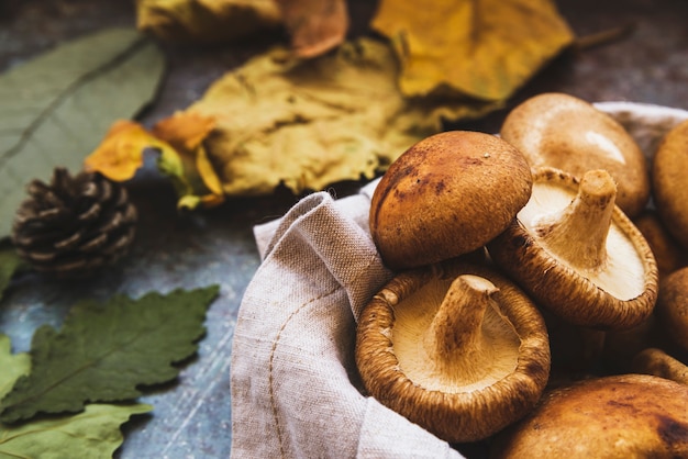 Photo composition d'automne avec des petits champignons dans une serviette