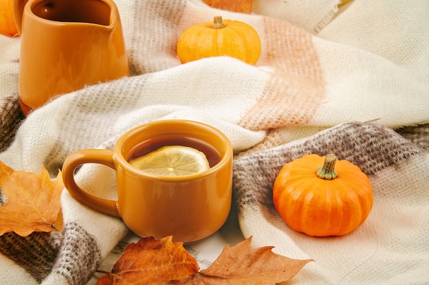 Composition d'automne à plat avec des feuilles d'automne, une tasse de thé chaud et une écharpe en laine chaude ou un plaid