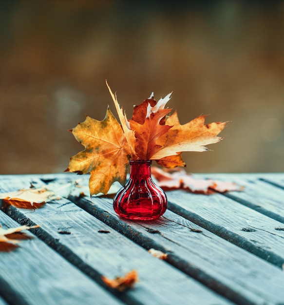 Composition d'automne en plein air. L'automne.