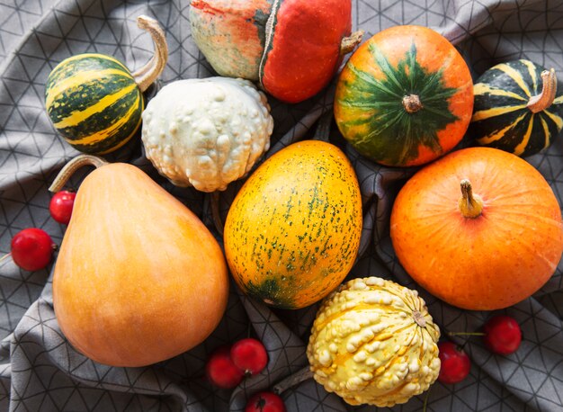 Composition d'automne, saison d'automne confortable, citrouilles et feuilles sur fond textile. Symbole de la fête de Thanksgiving, mise à plat