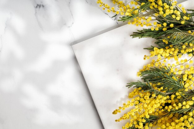 Composition de bannière de fleurs Fleurs de mimosa sur fond de marbre Concept de printemps Vue de dessus espace de copie