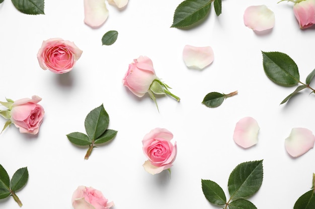 Composition avec de belles fleurs sur la vue de dessus de fond blanc Conception de cartes florales