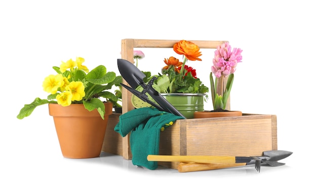 Composition avec de belles plantes et outils de jardinage