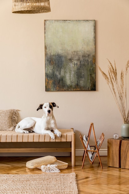 Composition bohème de salon avec meubles, peinture, décoration en rotin et accessoires personnels élégants. Beau chien allongé sur la chaise longue. Décoration de maison..