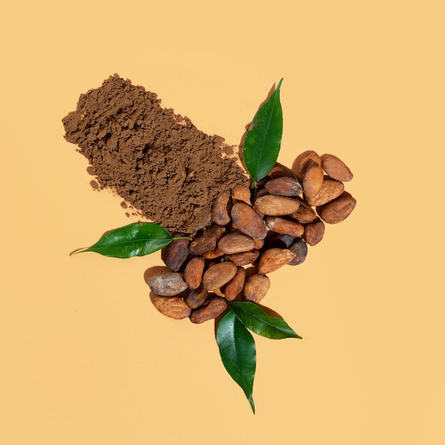 Composition créative avec des ingrédients sains produits de cacao bio poudre de fèves sur un beige