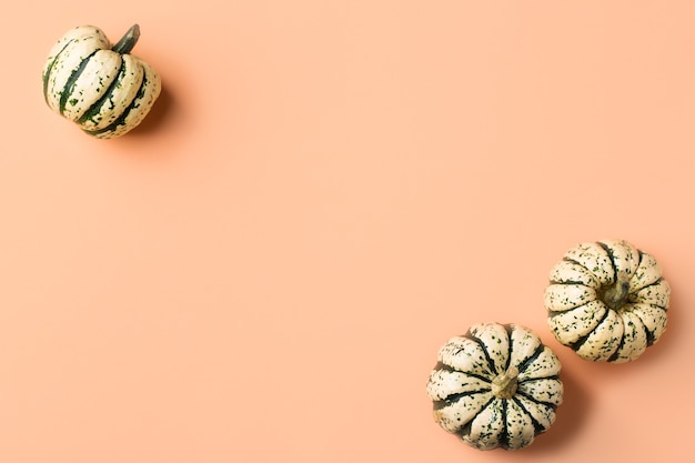 Composition créative de jour de thanksgiving d'automne d'automne avec des citrouilles décoratives. Mise à plat, vue de dessus, espace de copie, fond rose corail nature morte pour carte de voeux