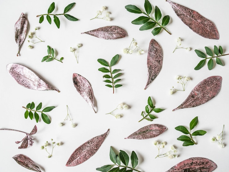Photo composition créative de nature de diverses feuilles peintes, feuilles vertes et gypsophile sur blanc