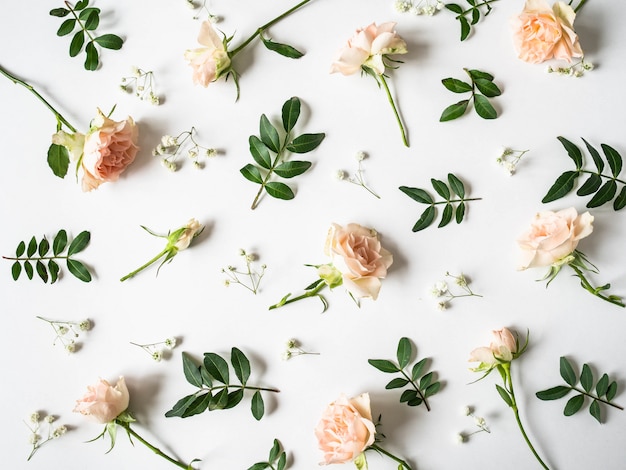 Composition créative de nature de gypsophile, de feuilles vertes et de roses sur fond blanc