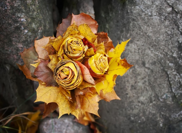 Photo composition décorative d'automne avec des feuilles d'érable jaunes