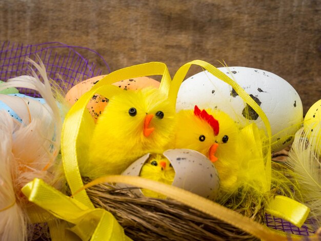 Photo composition décorative de pâques avec des œufs de couleur de nid de poules jaunes et des plumes colorées sur planche de bois