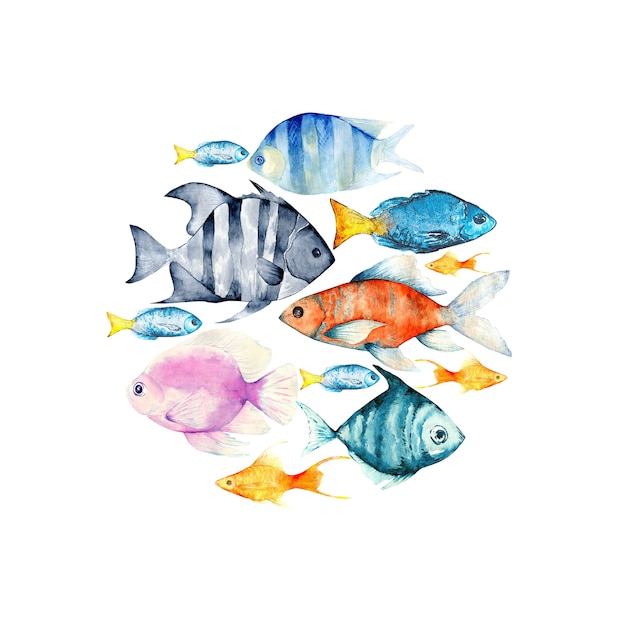 Composition de divers types de poissons marins