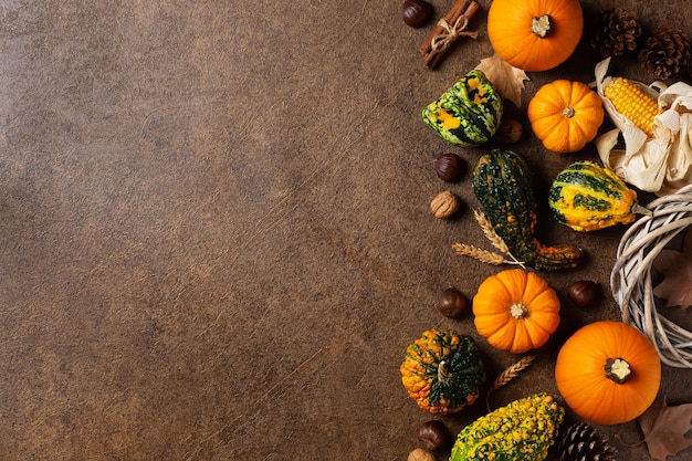 Composition du jour de thanksgiving automne automne avec des citrouilles décoratives