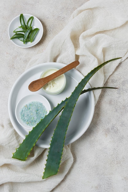 Composition du spa pour un mode de vie sain à l'aloe vera