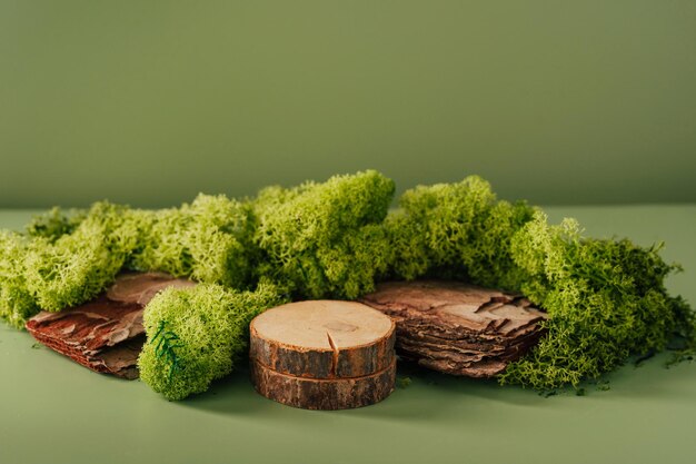 Composition d'écorce d'arbre et de mousse sur fond vert