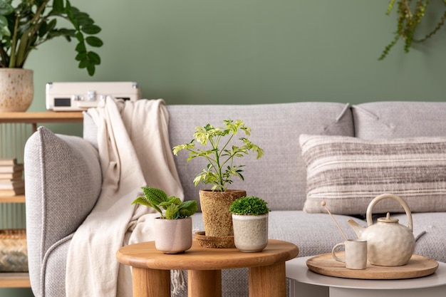 Composition élégante de l'intérieur d'un salon confortable avec des cadres d'affiches et des plantes
