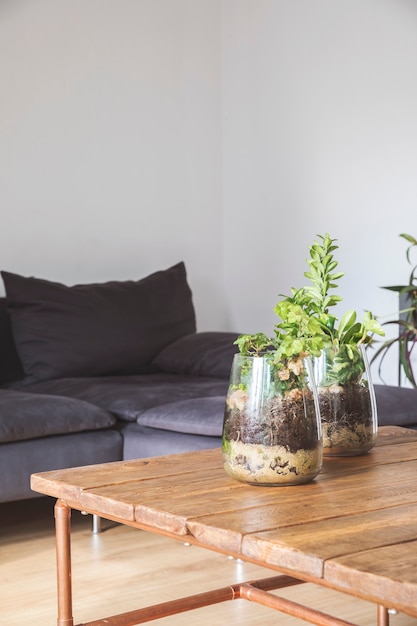 Composition élégante d'un intérieur de salon spacieux et créatif avec canapé, table basse et plantes