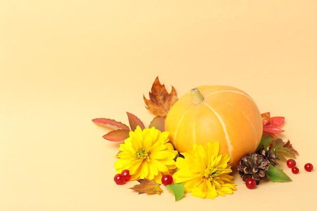 Photo composition de la fête de thanksgiving avec une citrouille sur fond beige