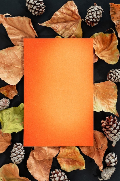 Photo composition avec feuilles d'automne et espace pour le texte sur fond noir