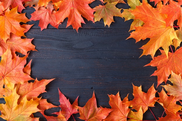 Composition de feuilles d'automne pour cadre photo. Copiez l'espace.