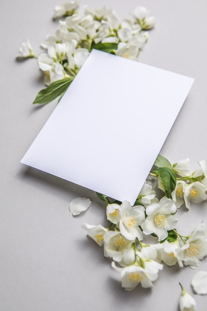 Composition de feuilles vertes et de fleurs de jasmin avec une feuille vierge pour le texte sur un fond de papier gris. Mise en page naturelle pour carte postale. Mise à plat