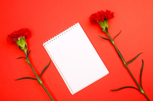 Composition de fleurs et belles fleurs épanouies sur fond de papier