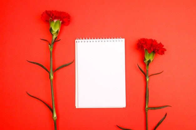 Composition de fleurs et belles fleurs épanouies sur fond de papier