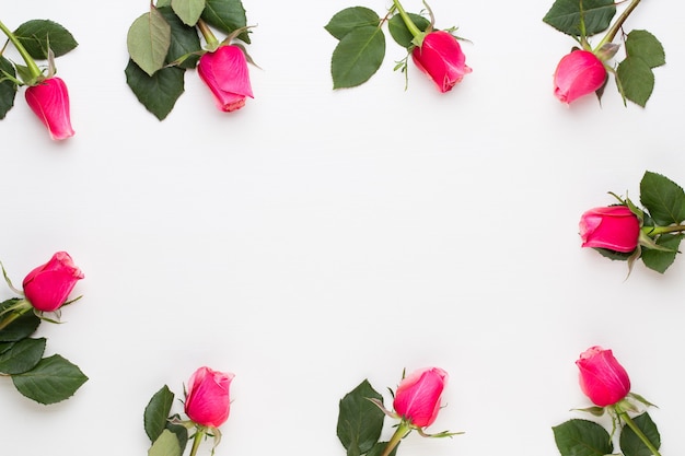 Composition de fleurs avec de belles roses