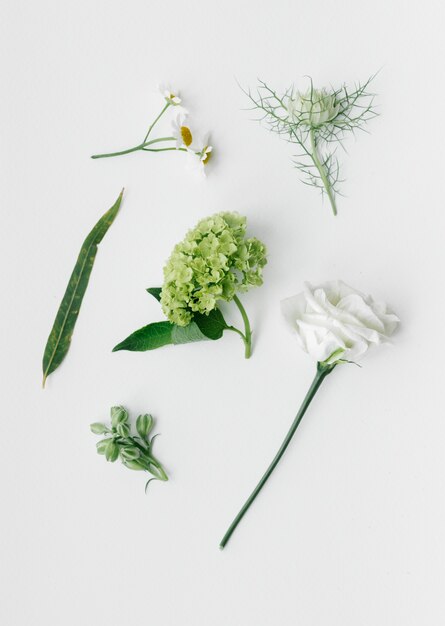 Composition de fleurs blanches