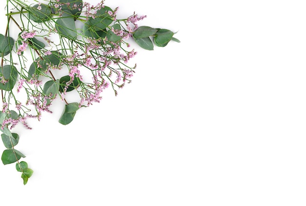 Composition de fleurs. Cadre fait de fleurs de gypsophile rose et de branches d'eucalyptus sur fond blanc. Mise à plat, vue de dessus, espace de copie.