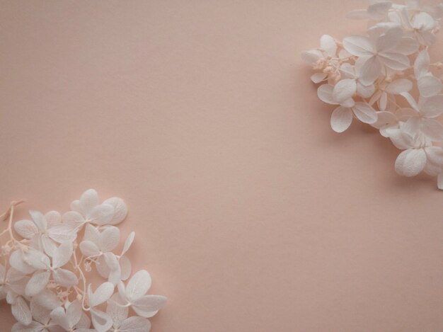 Composition de fleurs. Cadre fait d'hortensia de fleurs blanches sur fond beige. Concept de la Saint-Valentin, de la fête des mères et de la fête des femmes. Mise à plat, vue de dessus.