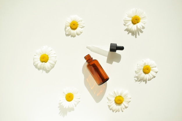 Composition avec des fleurs de camomille et un flacon cosmétique d'huile essentielle