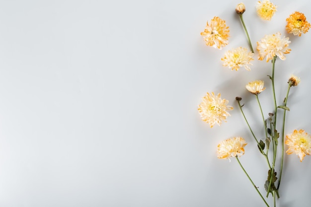 Photo composition de fleurs de chrysanthème et de coupeur motif et cadre faits de diverses fleurs jaunes ou oranges et de feuilles vertes sur fond blanc vue de dessus à plat copie espace printemps été concept