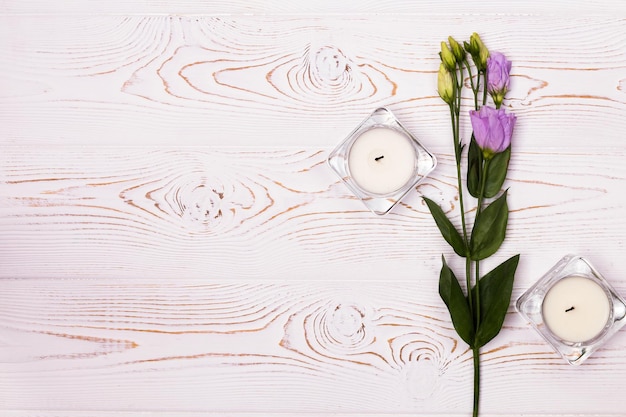 Composition de fleurs. Espace de travail avec des fleurs dans des bougies en verre sur fond blanc d'en haut. Style à plat. Copiez l'espace pour le texte.