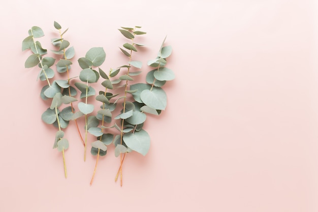 Composition de fleurs et d'eucaaliptus. Modèle composé de diverses fleurs colorées sur fond blanc.