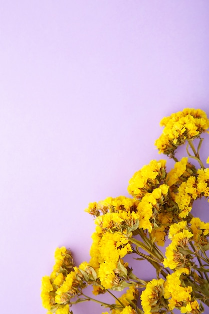 Composition de fleurs. Fleurs de gypsophile. Mise à plat, vue de dessus, espace de copie.