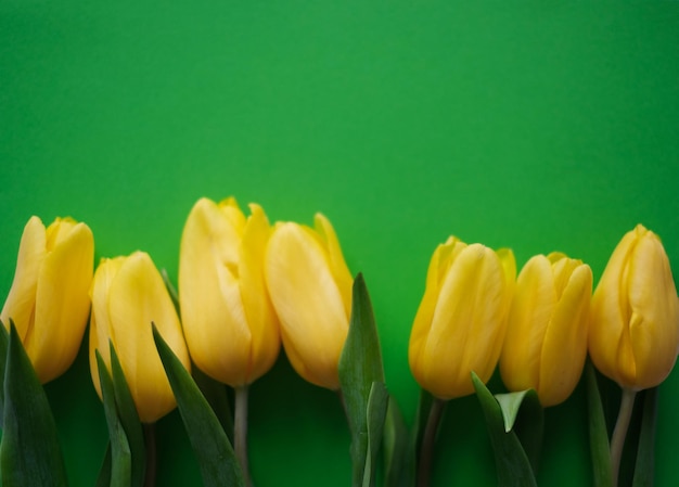 Composition de fleurs Fleurs de tulipe jaune sur fond vert Concept printemps été