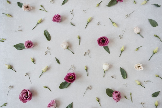 Composition de fleurs avec de nombreuses roses sur gris