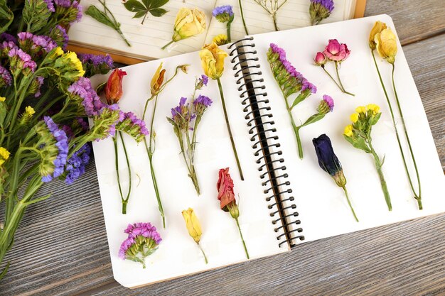 Composition avec des fleurs et des plantes sèches sur des cahiers sur la table en gros plan