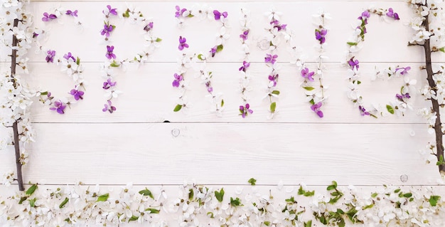 Composition de fleurs printanières, branches d'arbres en fleurs sur un fond en bois blanc. Lettrage Spring composé de fleurs et de feuilles blanches et violettes. Mise à plat, vue de dessus, gros plan, espace de copie