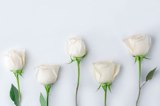 Photo composition de fleurs de printemps. modèle créatif de fleur rose pastel sur rose. fond romantique. valentin, femmes, fête des mères ou concept de mariage.
