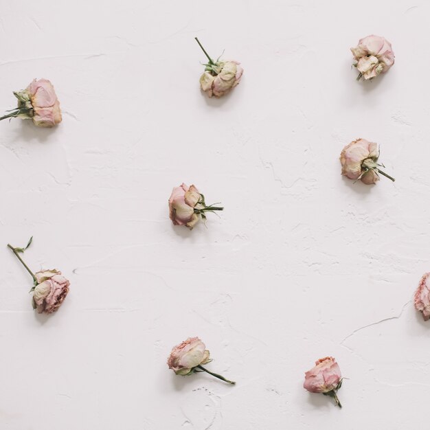 Composition de fleurs avec des roses roses sur une surface blanche