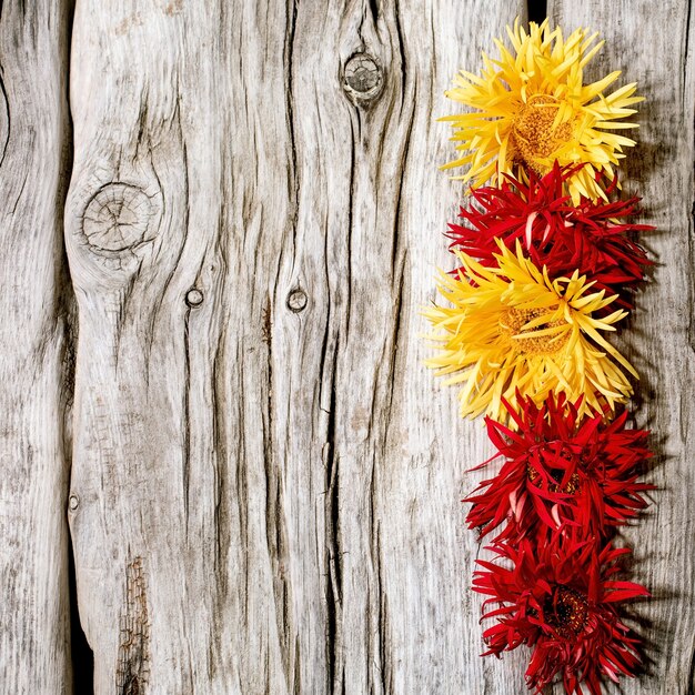 Photo composition de fleurs rouges et jaunes