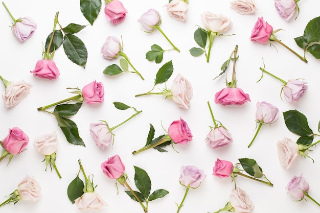 Composition de fleurs Saint Valentin. Cadre en rose rose sur fond gris. Mise à plat, vue de dessus, espace de copie.