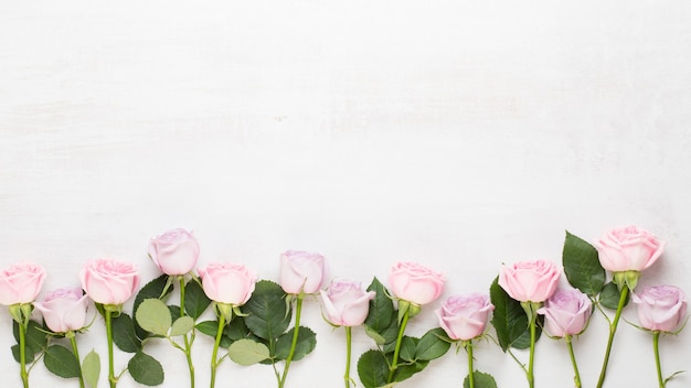 Composition de fleurs Saint Valentin. Cadre en rose rose sur fond gris. Mise à plat, vue de dessus, espace de copie.