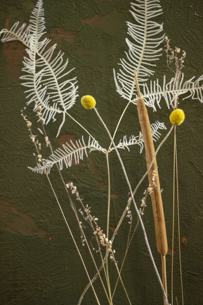 composition avec des fleurs séchées sur fond sombre