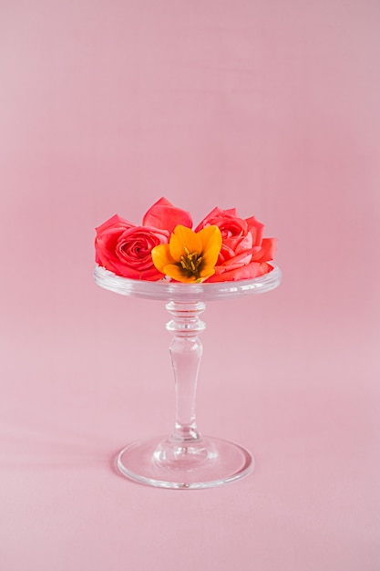 Composition de fleurs tropicales colorées sur un gâteau de verre sur des roses, composition de tendances