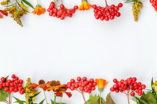 Composition Florale D'automne. Cadre Fait De Plantes D'automne Baies De Viorne Fleurs Orange Isolés Sur Fond Blanc. Automne Automne Plantes Naturelles écologie Concept De Papier Peint. Vue De Dessus à Plat, Espace De Copie