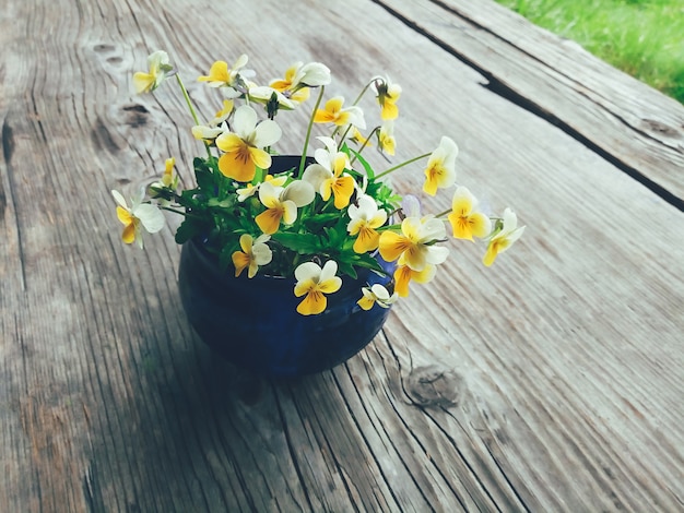 Composition florale dans le jardin