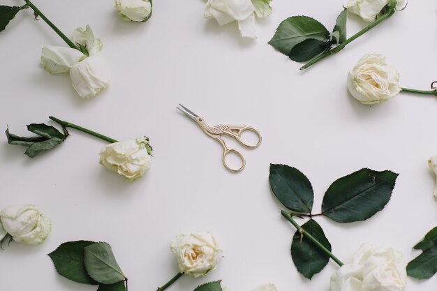 Composition florale élégante avec des roses blanches et des ciseaux sur blanc. Flatlay, vue de dessus