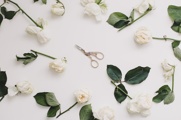 Composition florale élégante avec des roses blanches et place pour le texte sur blanc